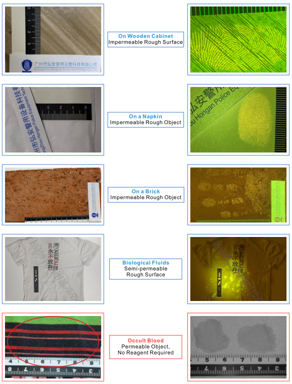 CSI Visual Pro(图3)