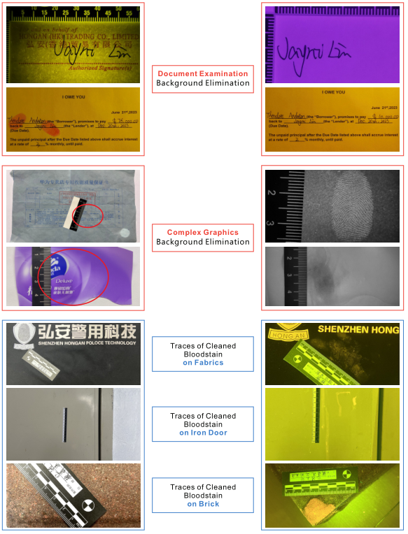 CSI Visual Pro(图5)