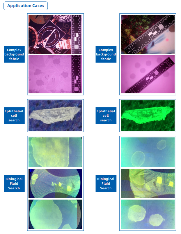 Desktop Evidence Search Instrument(图2)