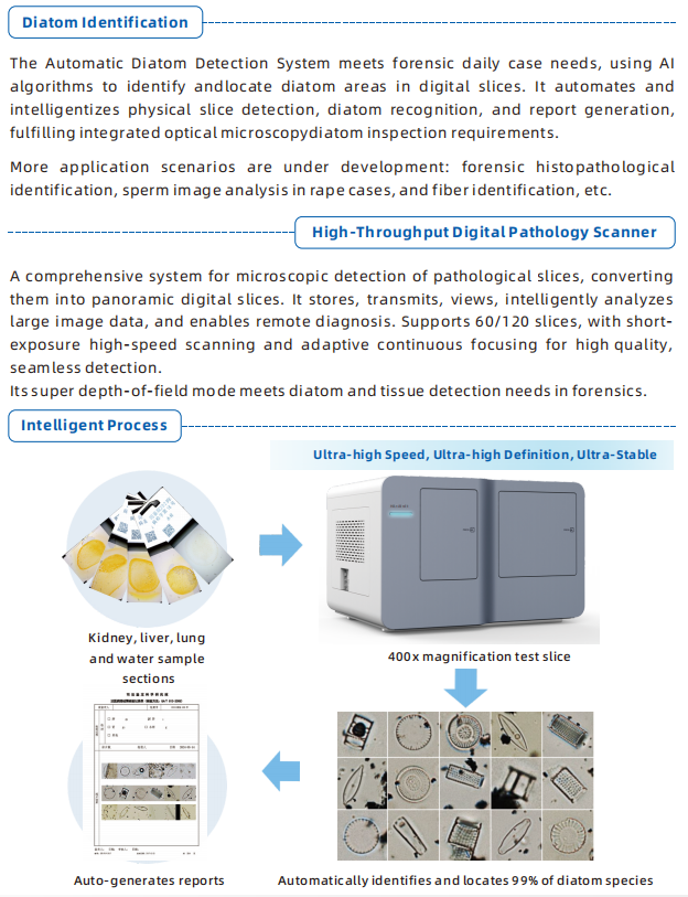 Automatic Diatom Detection System(图2)